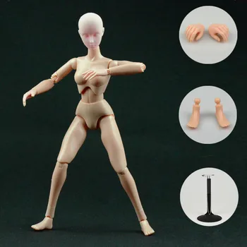 2017 naujas Animacijos meno eskizas manekenai ferito moterų lėlės modelis eskizas tapybos įrankis jungtinio kilnojamojo patalpų įrengimui skirti dirbiniai